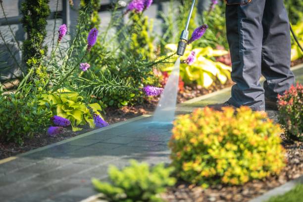Best Driveway Pressure Washing  in Mebane, NC